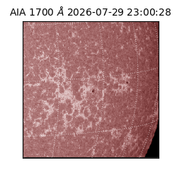 saia - 2026-07-29T23:00:28.717000