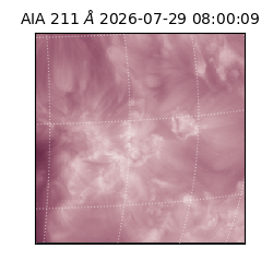 saia - 2026-07-29T08:00:09.624000