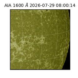 saia - 2026-07-29T08:00:14.123000