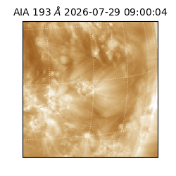 saia - 2026-07-29T09:00:04.849000