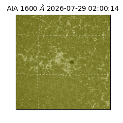 saia - 2026-07-29T02:00:14.123000