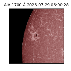 saia - 2026-07-29T06:00:28.716000