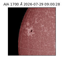 saia - 2026-07-29T09:00:28.716000