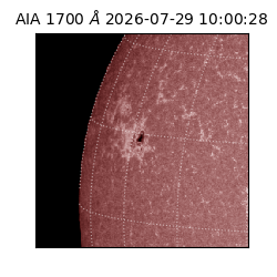 saia - 2026-07-29T10:00:28.716000