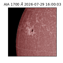 saia - 2026-07-29T16:00:03.719000