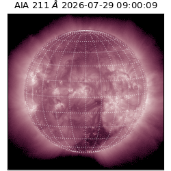 saia - 2026-07-29T09:00:09.623000