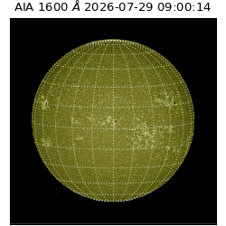 saia - 2026-07-29T09:00:14.124000