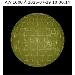 saia - 2026-07-29T10:00:14.122000