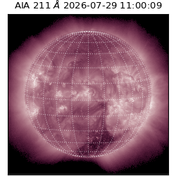 saia - 2026-07-29T11:00:09.623000