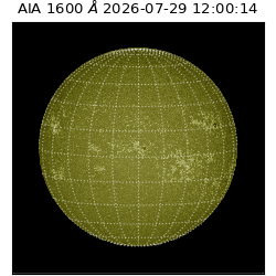 saia - 2026-07-29T12:00:14.124000