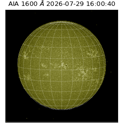 saia - 2026-07-29T16:00:40.967000