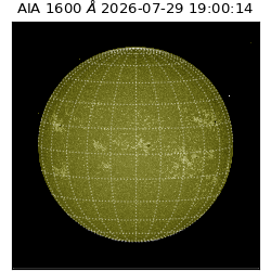 saia - 2026-07-29T19:00:14.123000