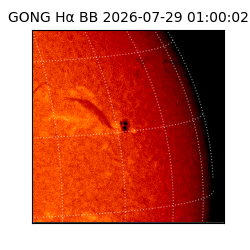 gong - 2026-07-29T01:00:02