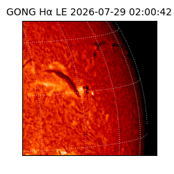 gong - 2026-07-29T02:00:42