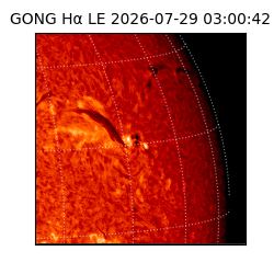 gong - 2026-07-29T03:00:42