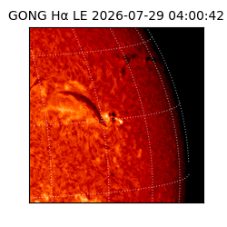gong - 2026-07-29T04:00:42
