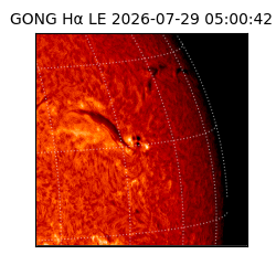 gong - 2026-07-29T05:00:42