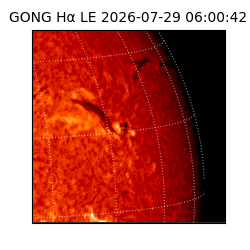 gong - 2026-07-29T06:00:42