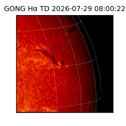 gong - 2026-07-29T08:00:22
