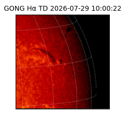 gong - 2026-07-29T10:00:22