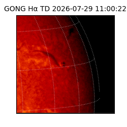 gong - 2026-07-29T11:00:22