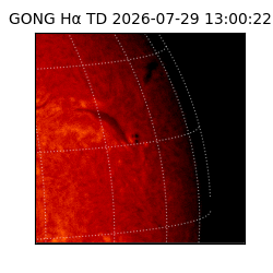 gong - 2026-07-29T13:00:22