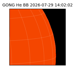 gong - 2026-07-29T14:02:02