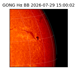gong - 2026-07-29T15:00:02