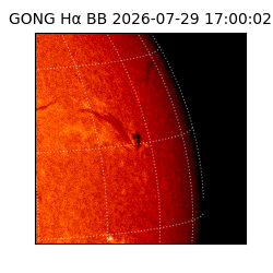 gong - 2026-07-29T17:00:02