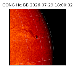gong - 2026-07-29T18:00:02