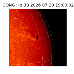 gong - 2026-07-29T19:00:02