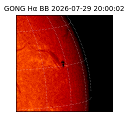 gong - 2026-07-29T20:00:02