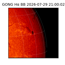gong - 2026-07-29T21:00:02