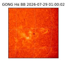 gong - 2026-07-29T01:00:02