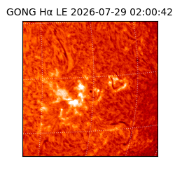 gong - 2026-07-29T02:00:42