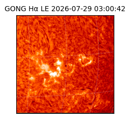 gong - 2026-07-29T03:00:42