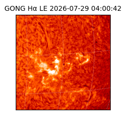 gong - 2026-07-29T04:00:42