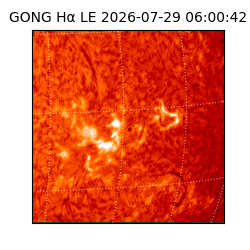 gong - 2026-07-29T06:00:42