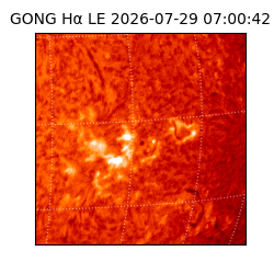 gong - 2026-07-29T07:00:42