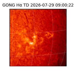 gong - 2026-07-29T09:00:22