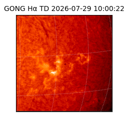 gong - 2026-07-29T10:00:22