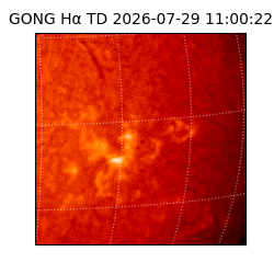 gong - 2026-07-29T11:00:22