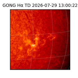gong - 2026-07-29T13:00:22