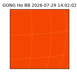 gong - 2026-07-29T14:02:02