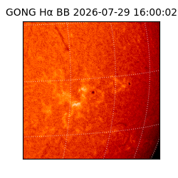 gong - 2026-07-29T16:00:02