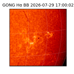 gong - 2026-07-29T17:00:02