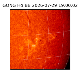 gong - 2026-07-29T19:00:02