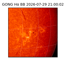 gong - 2026-07-29T21:00:02