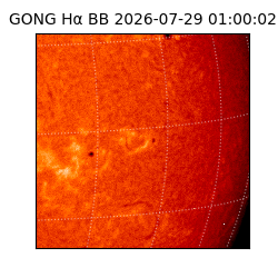 gong - 2026-07-29T01:00:02
