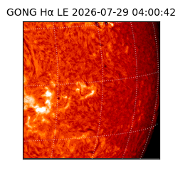 gong - 2026-07-29T04:00:42